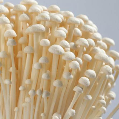金针菇软了还能吃吗 放冰箱是冷冻还是冷藏保存