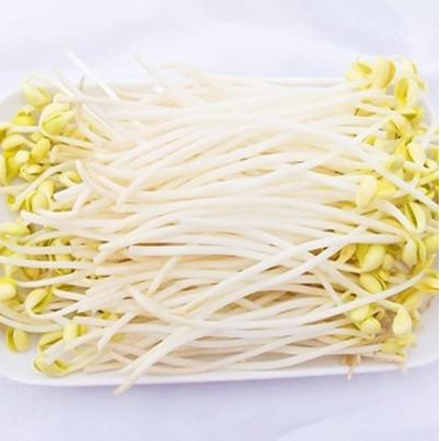 吃黄豆芽会中毒吗 怎么办