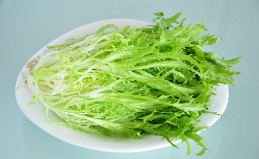苦苣菜如何凉拌 和蒲公英的区别
