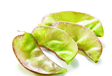 扁豆和什么不能一起吃 和山药可以一起吃吗