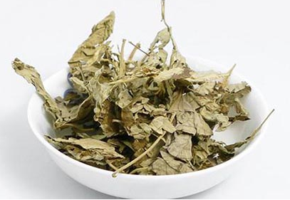 艾草的食用方法 會導致流產嗎