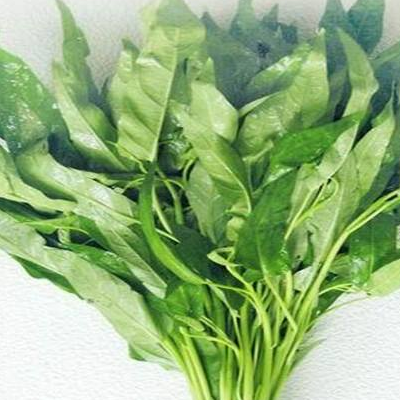 空心菜不能和什么一起吃吃叶子好还是吃杆好