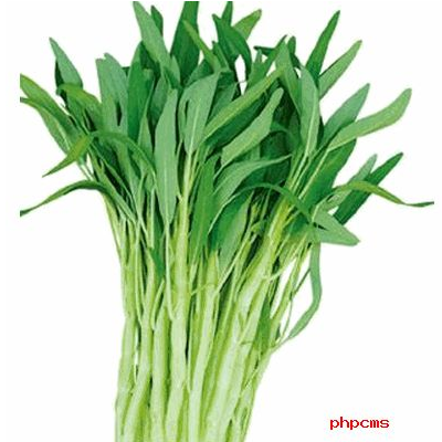 空心菜不能和什么一起吃吃叶子好还是吃杆好