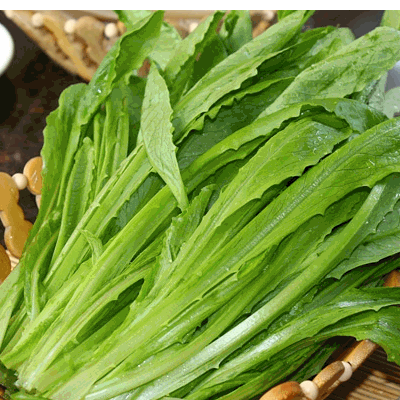 油麦菜苦是怎么回事 怎么去苦味