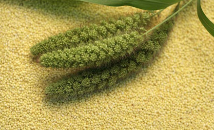 麦芽精的功效与作用 多少钱一盒