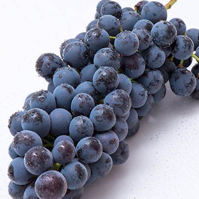 夏黑葡萄可以泡酒吗怎么泡酒