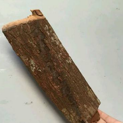 安哥拉树皮价格多少钱一斤对男女的作用有哪些