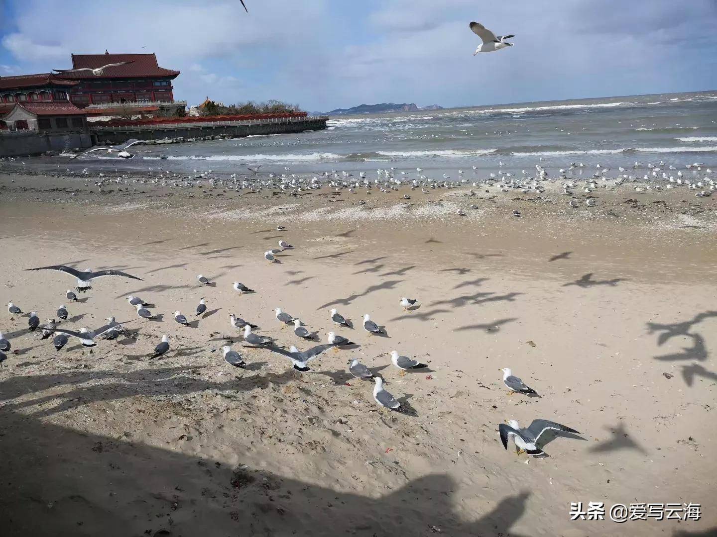 不是孩子不够好,而是我们站得太高 我们的孩子够强吗