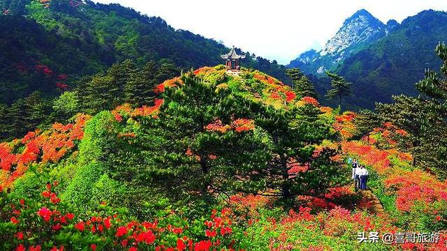 湖北麻城有哪些地方好玩呢？