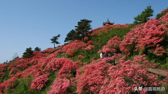 湖北麻城有哪些地方好玩呢？
