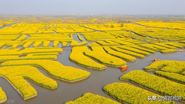 五一节准备安排去泰州,有什么推荐的好吃的,好玩的?