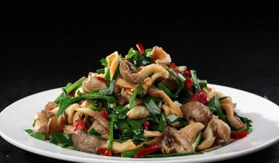 平菇是发物吗 里面发黑发黄还能吃吗