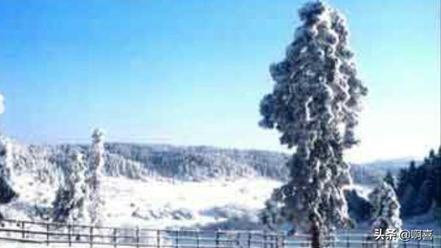 听说仙女山下雪了,可以自驾上山不?