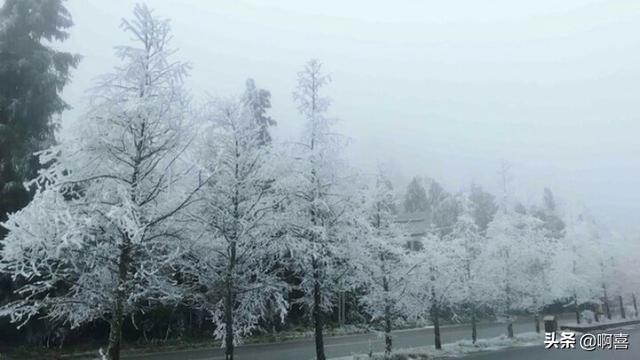 听说仙女山下雪了,可以自驾上山不?