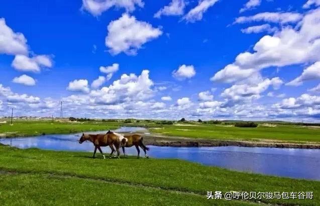 海拉尔,额尔古纳,根河,室韦,黑山头,满洲里,阿尔山,这一圈,酒店有什么推荐吗?