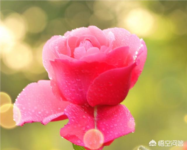 临沂有哪些免费的景区?