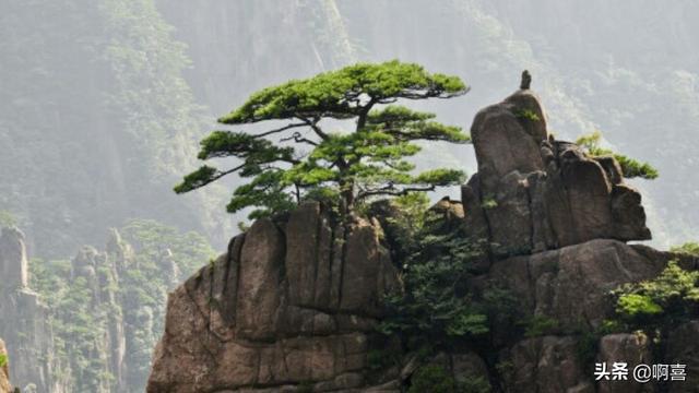 皖南川藏线离黄山风景区远吗？