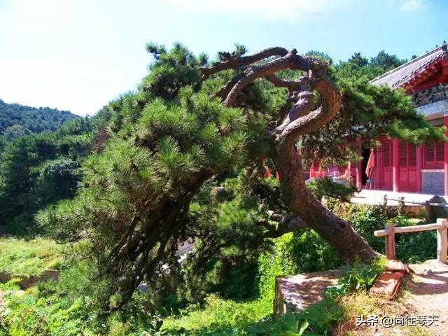 从东莞出发自驾游去海南有什么好的攻略分享?
