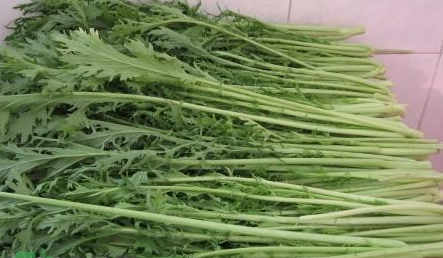 雪里紅是什么菜 腌制幾天能吃