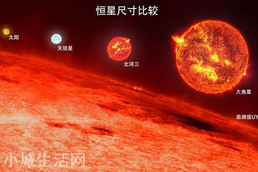 R136a1恒星是太阳的多少倍