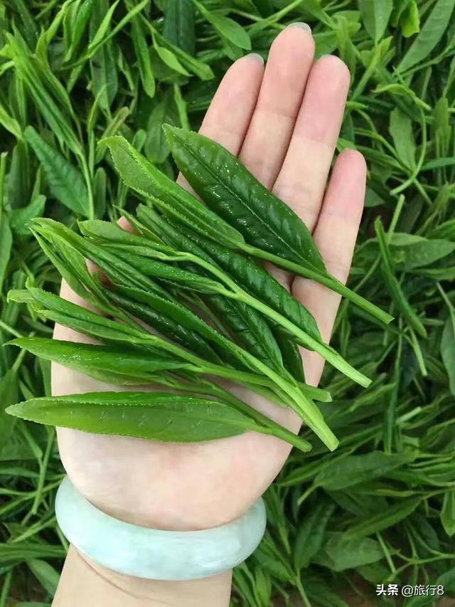常州到天堂寨自驾6天怎样玩合适？