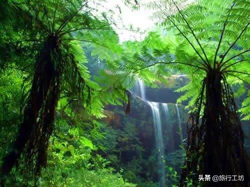 现在哪里的旅游景区有免费或者优惠政策？推荐去吗？