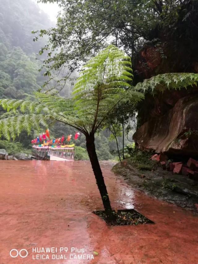 现在哪里的旅游景区有免费或者优惠政策？推荐去吗？