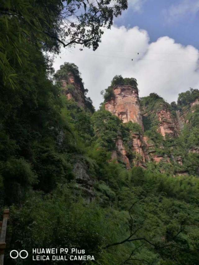 现在哪里的旅游景区有免费或者优惠政策？推荐去吗？