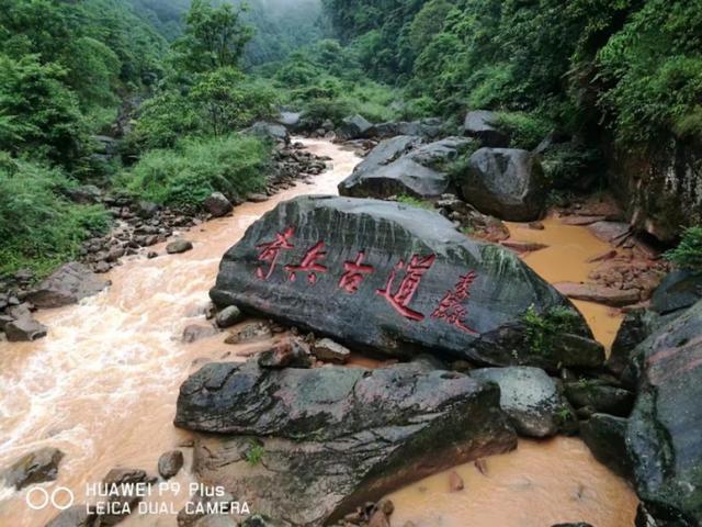 现在哪里的旅游景区有免费或者优惠政策？推荐去吗？