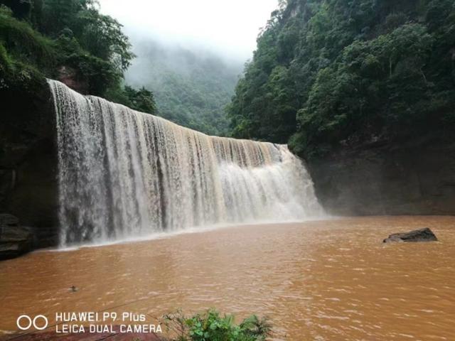现在哪里的旅游景区有免费或者优惠政策？推荐去吗？