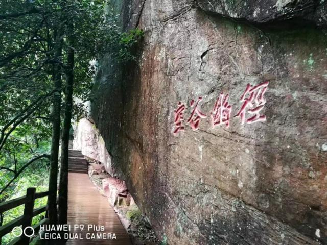 现在哪里的旅游景区有免费或者优惠政策？推荐去吗？