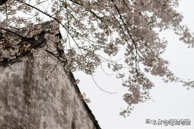 为什么说绍兴古城改造完成后必将成为旅游热门?