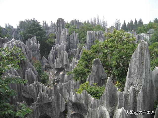 昆明石林为何感觉在云南旅居市场很火?对比昆明周边城市好在哪?