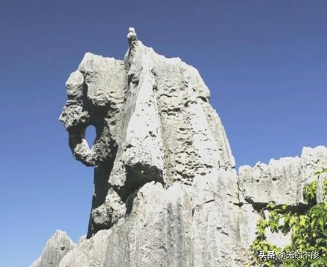 昆明石林为何感觉在云南旅居市场很火?对比昆明周边城市好在哪?