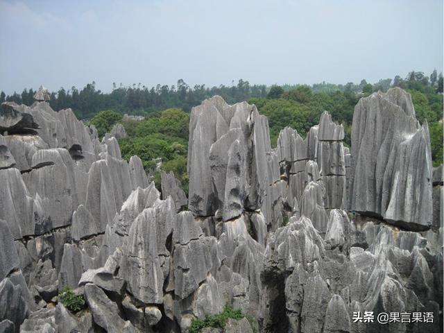 昆明石林为何感觉在云南旅居市场很火?对比昆明周边城市好在哪?