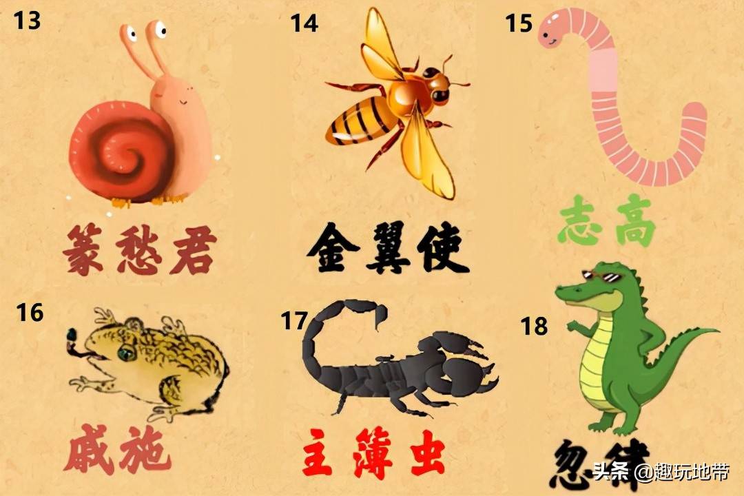 100种生物名称 生物有哪些