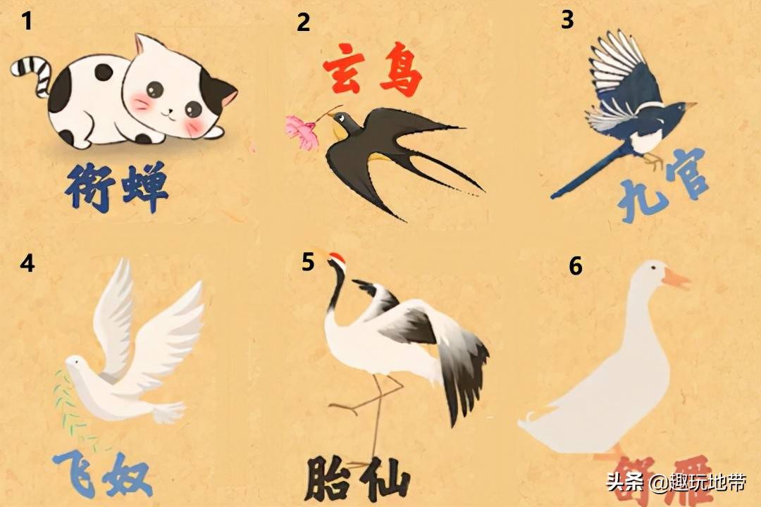 100种生物名称 生物有哪些