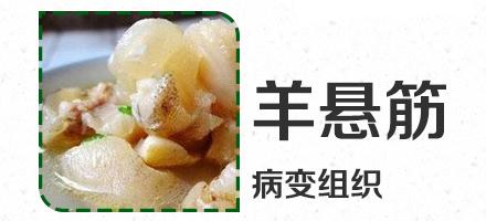 致病肉有哪些 血脖肉鸡尖翅虾线