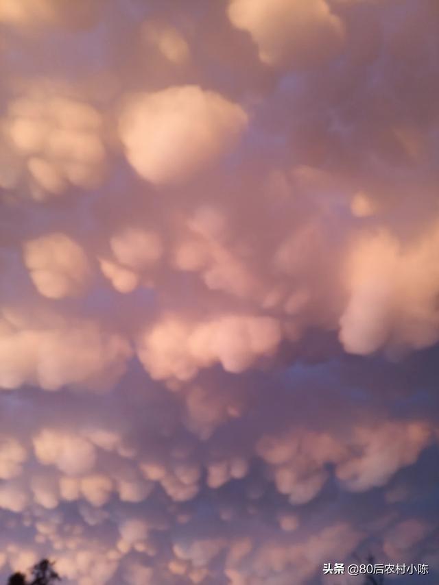 腊月下雪打雷有什么科学说法?