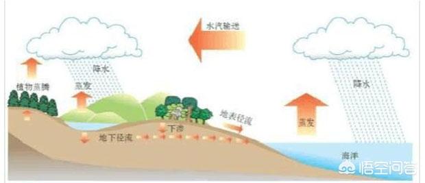 世界上众多河流水位降低,湖泊干涸,地下水枯竭,那么这些水去哪了呢?