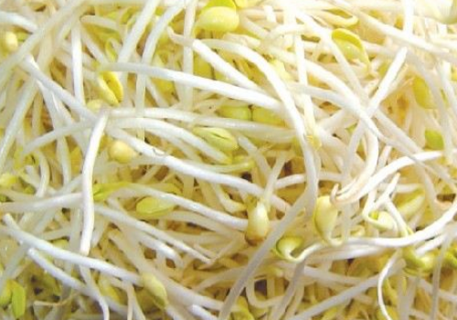 豆芽需要掐头去尾吗 买多了怎么办