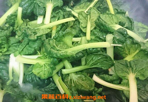 塔菜的功效与作用 塔菜的食用禁忌
