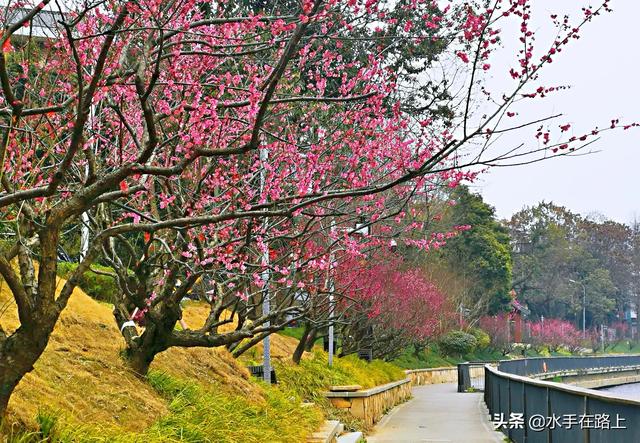 想移居成都,成都有什么优缺点?