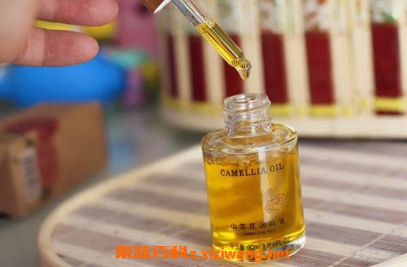 山茶花油怎么吃 山茶花油的食用方法