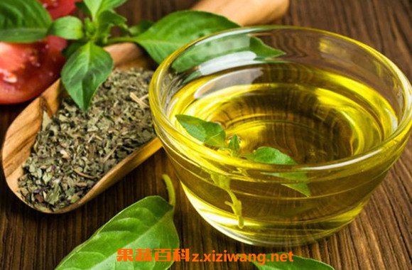 山茶花油怎么吃 山茶花油的食用方法