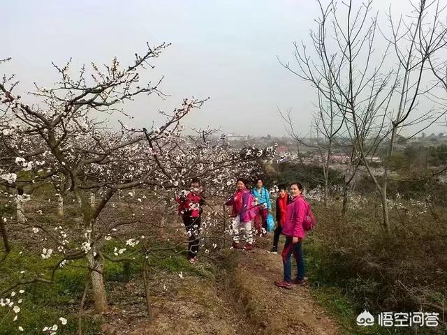 春天来了,春暖花开的季节最适合做什么?