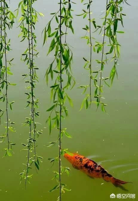 春天来了,春暖花开的季节最适合做什么?