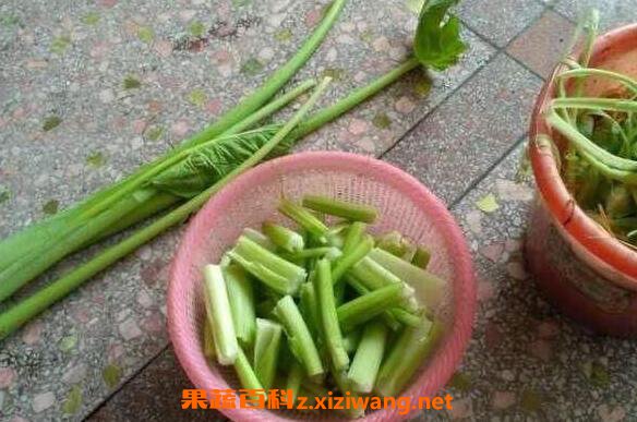 芋荷梗是什么 芋荷梗怎么吃