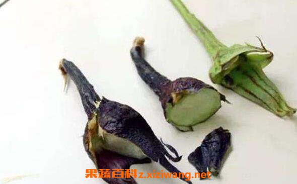 茄子头煮水的功效与作用 茄子头煮水有什么好处