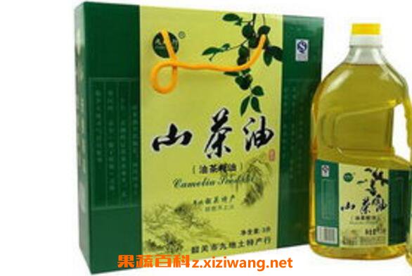 山茶油有什么作用 山茶油的功效与作用
